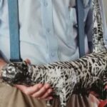 That Time David Hockney Was Hitchhiking