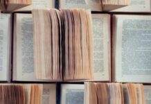 Irish Writers Like Colm Toibin Share In The AI Training Disgust