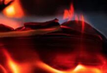 What Do Book Censorship Advocates Actually Know About Libraries?