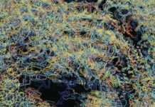 Why Science Researchers Need Artists On Their Teams