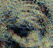 Why Science Researchers Need Artists On Their Teams