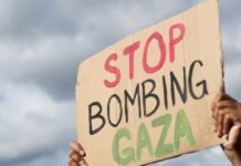 Artists Say They’re Being Punished for Supporting Gaza Ceasefire