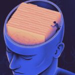 Where Our Brains Save Different Kinds Of Memories