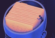 Where Our Brains Save Different Kinds Of Memories