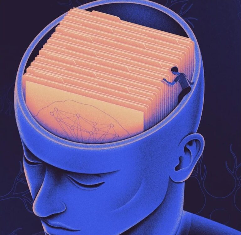 Where Our Brains Save Different Kinds Of Memories
