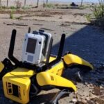 Robot Fido Scours Pompeii And Finds Work As Tour Guide