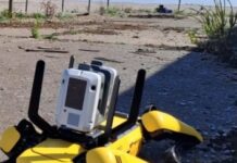 Robot Fido Scours Pompeii And Finds Work As Tour Guide