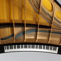 Architect Rafael Viñoly’s Curved-Keyboard Piano Makes Its Carnegie Hall Debut