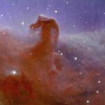 See The First Photos From The Euclid Telescope, Orbiting One Million Miles From Earth