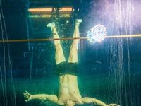 How Cirque Du Soleil Became The Backbone Of Live Entertainment In 21st-Century Las Vegas