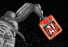 Misdirection Helps Artists Fight Back Against Scraper AI Programs