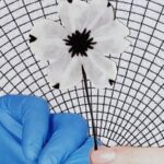 Can Creativity Inspire And Transform Medicine?