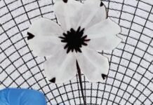 Can Creativity Inspire And Transform Medicine?