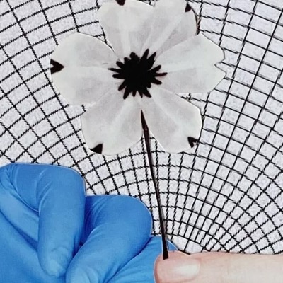 Can Creativity Inspire And Transform Medicine?