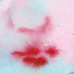 Who Won The National Translation Awards?