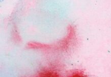 Who Won The National Translation Awards?