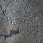 Shipwreck Off The Coast Of Colombia Could Be Worth Billions Of Dollars