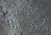 Shipwreck Off The Coast Of Colombia Could Be Worth Billions Of Dollars