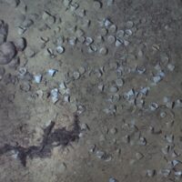 Shipwreck Off The Coast Of Colombia Could Be Worth Billions Of Dollars