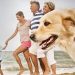 Why Chasing Happiness Can Make You… Unhappy