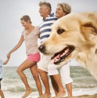 Why Chasing Happiness Can Make You… Unhappy
