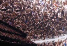 The Vegas Sphere Is Astonishing. But Is It Just A Novelty?