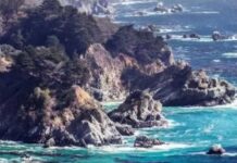 California Musicians Across The State Celebrate California