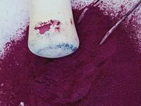 The Quest To Recreate Tyrian Purple, Once The Most Expensive Pigment On Earth