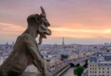 How To Judge A Translation