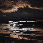 Notable Literary Leaders Who Passed In 2023