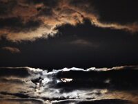 Notable Literary Leaders Who Passed In 2023