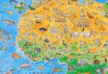 A World Map With No Borders, Only Animals