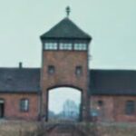 Why Do We Keep Making Movies About The Holocaust?