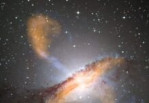 Creative Disruption That Creates More Than It Destroys