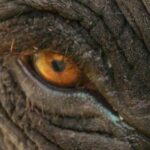 Documentary Makers And Their Subjects — It Gets Complicated When The Film Is Successful