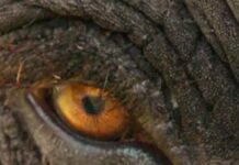 Documentary Makers And Their Subjects — It Gets Complicated When The Film Is Successful