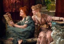 What Fandom Has Become (Courtesy The Internet)