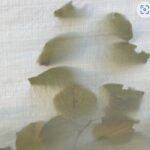 A Critic, His Experiences, His Aesthetic