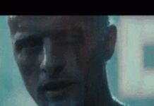 The Macroculture Is Dead. Long Live Microculture!