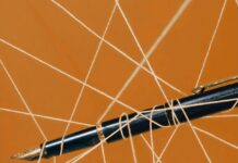 The Humanities Have Sown The Seeds Of Their Own Troubles