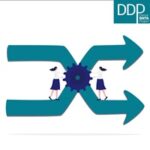 Dance Data Project Reports On Leadership Transitions In 2023