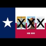 Appeals Court Panel Upholds Stay Of Texas’s Book-Banning Law