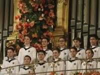 Vienna Boys Choir Needed, And Got, A Government Bailout