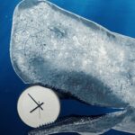 The People Who Love A 24-Hour Marathon Reading Of Moby Dick