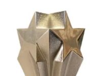 Live, From The Critics Choice Awards