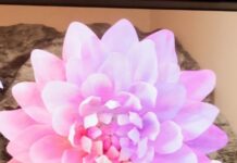 When Our TVs Disappear