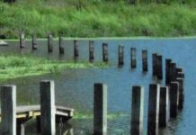 The Des Moines Art Center Says It Can’t Afford To Keep Up Its Superb Mary Miss Land Art