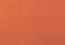 Why Did The Santa Barbara Museum Of Art Suddenly Cancel A Show And Let A Curator Go?