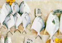 Why You Need To Learn To Think In Probabilities