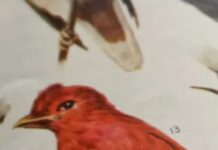 Britannica Once Published “The World’s 102 Great Ideas.” Ambitious, Yes, But Also A Flawed Fascinating Exercise